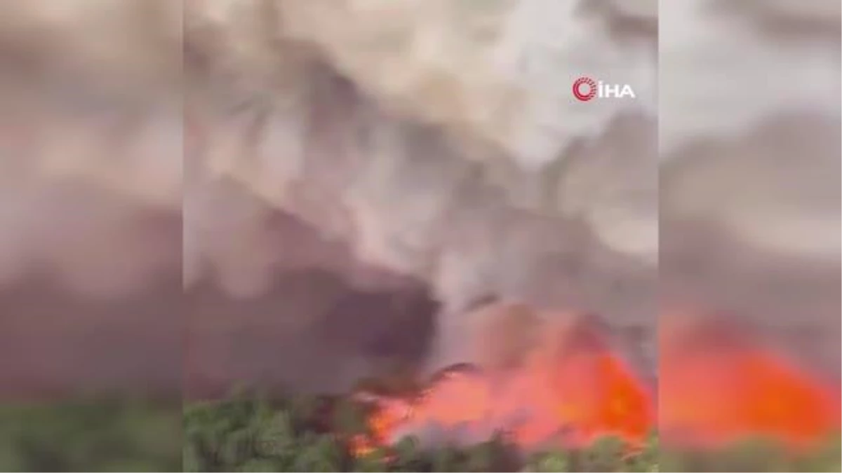 İspanya\'nın Tenerife Adası\'ndaki yangın büyüyor: Bin 800 hektar alan kül oldu