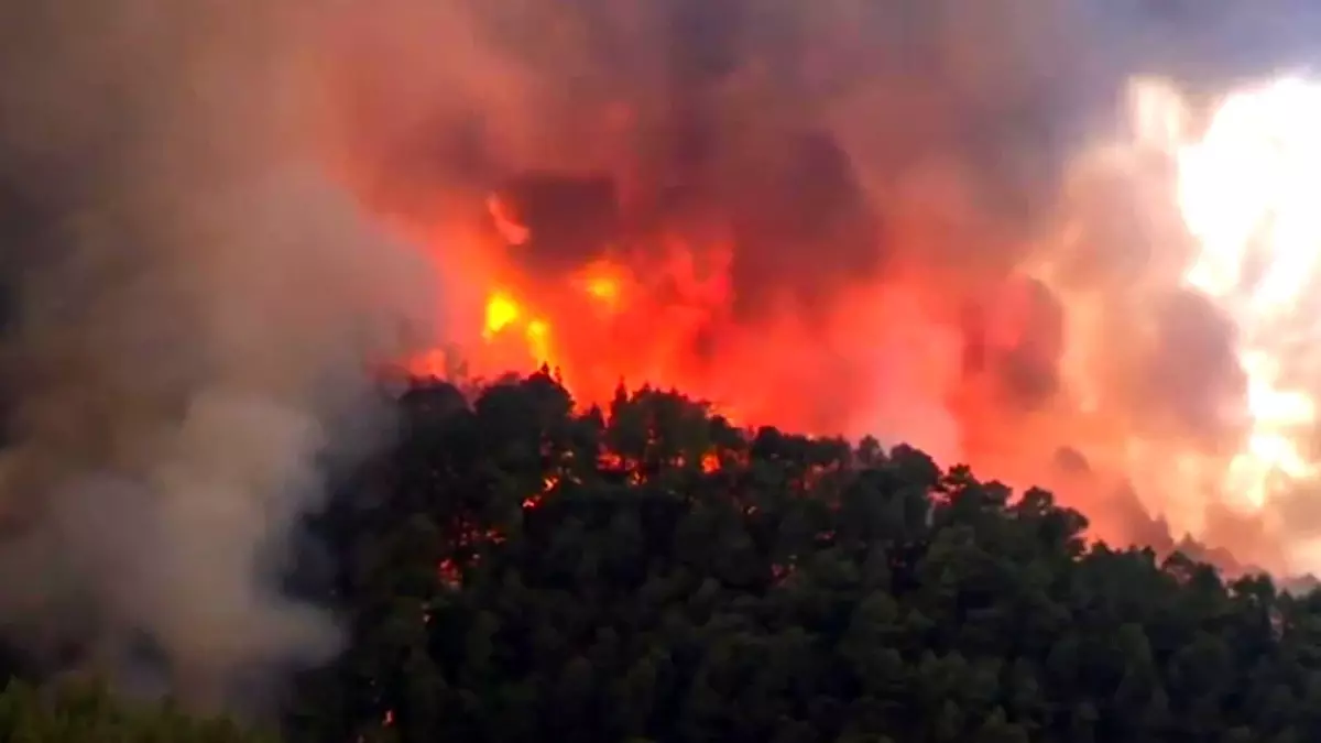 Tenerife Adasında Çıkan Orman Yangınında 600-800 Hektarlık Alan Kül Oldu