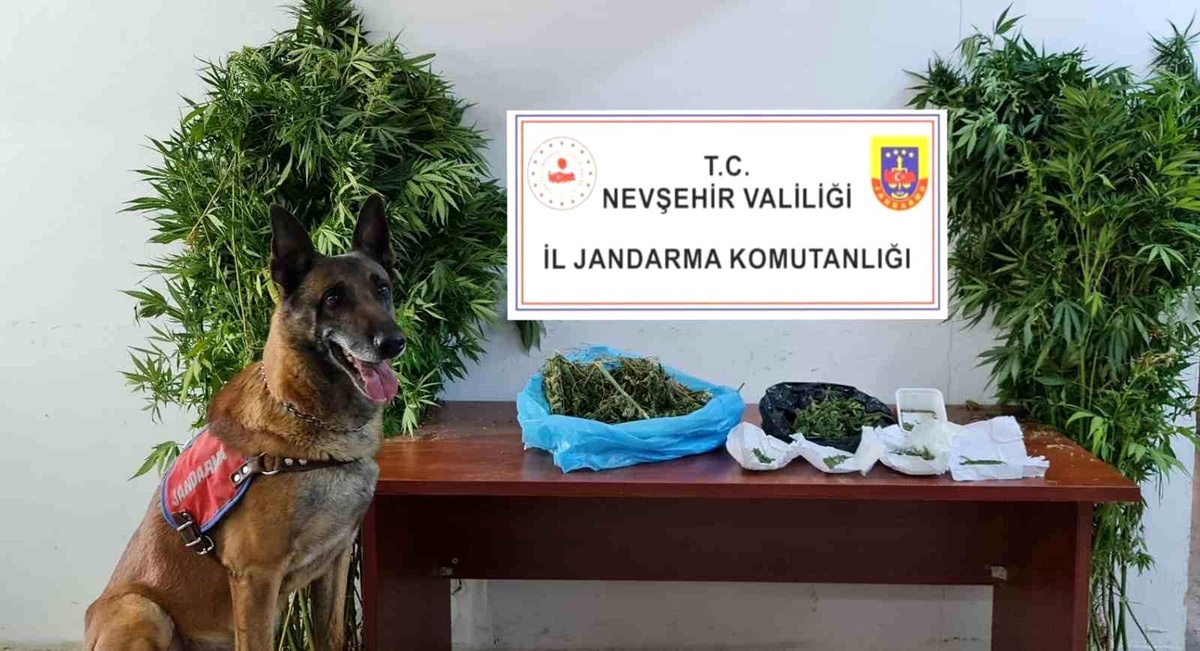 Nevşehir\'de Uyuşturucu ve Uyarıcı Madde Operasyonu: 2 Gözaltı