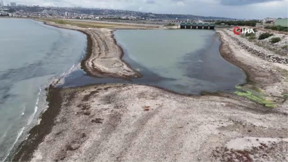 İstanbul\'da barajlardaki su seviyesi alarm veriyor
