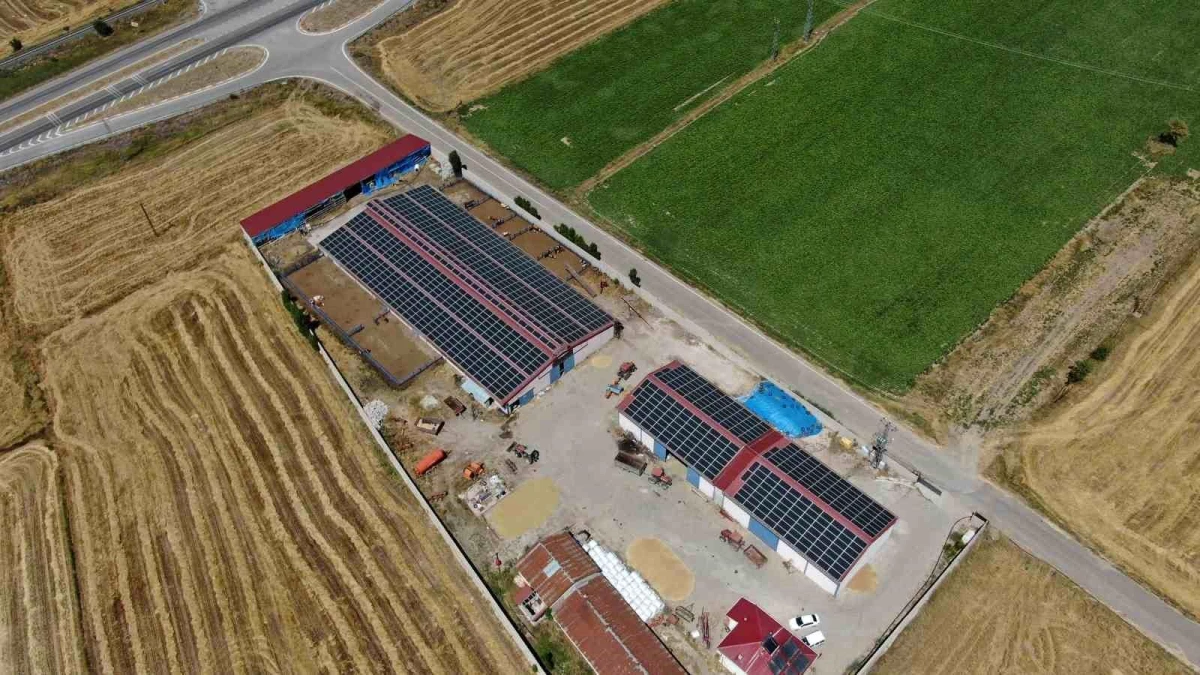 Sivas\'ta Süt Çiftliği Güneş Enerjisi Santraline Dönüştü