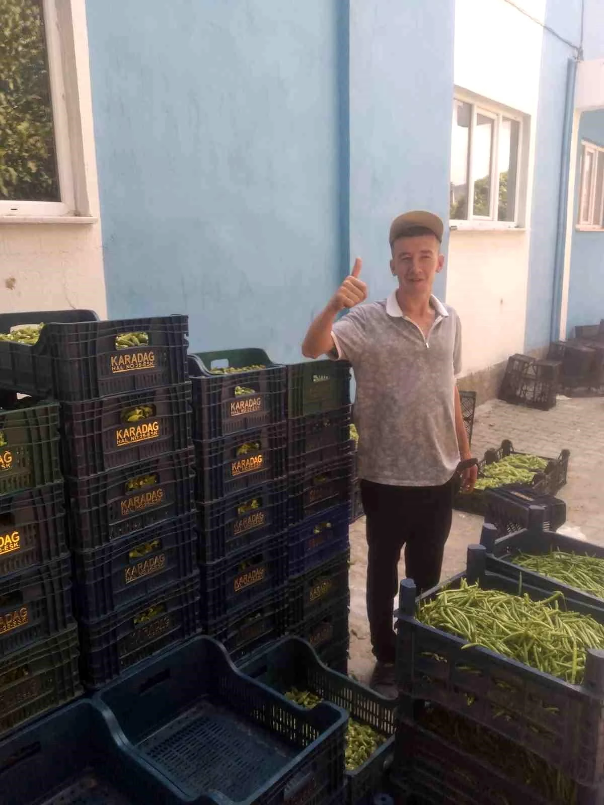 Kütahya\'nın Gediz ilçesinde köylüler ürünlerini Eskişehir sebze haline satıyor