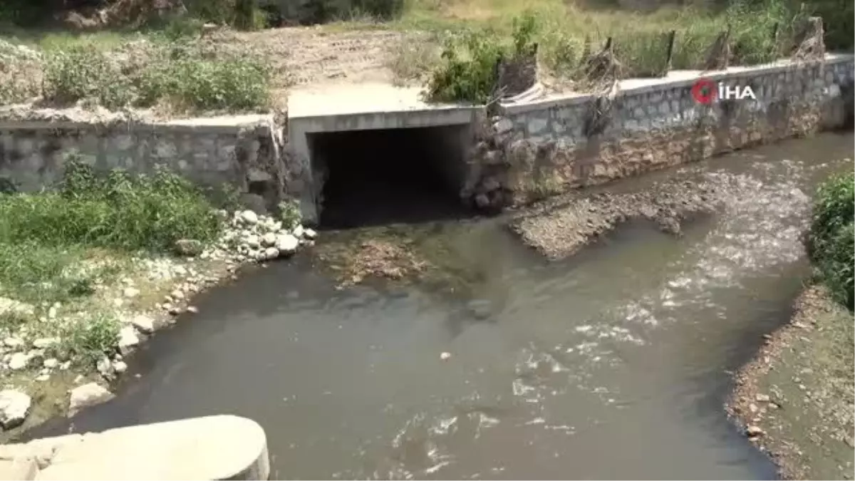 Ürünlerini kirli suyla besleyen üreticiler tedirgin oldu