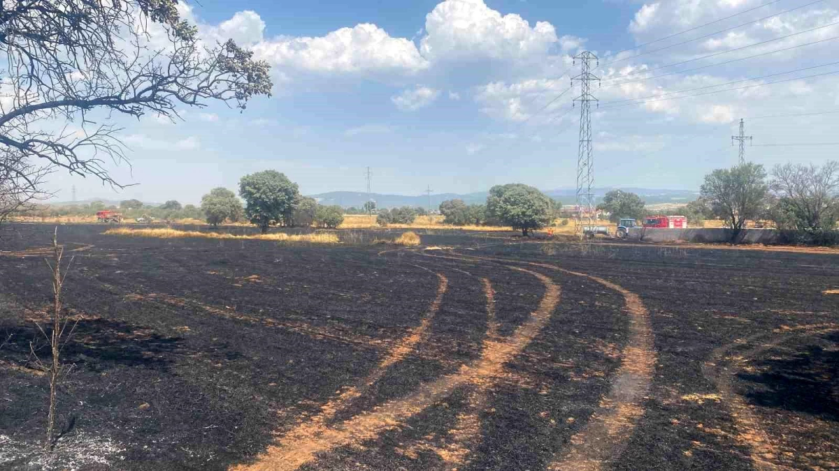 Uşak\'ın Banaz ilçesinde çıkan yangında 100 dönüm buğday ekili arazi zarar gördü