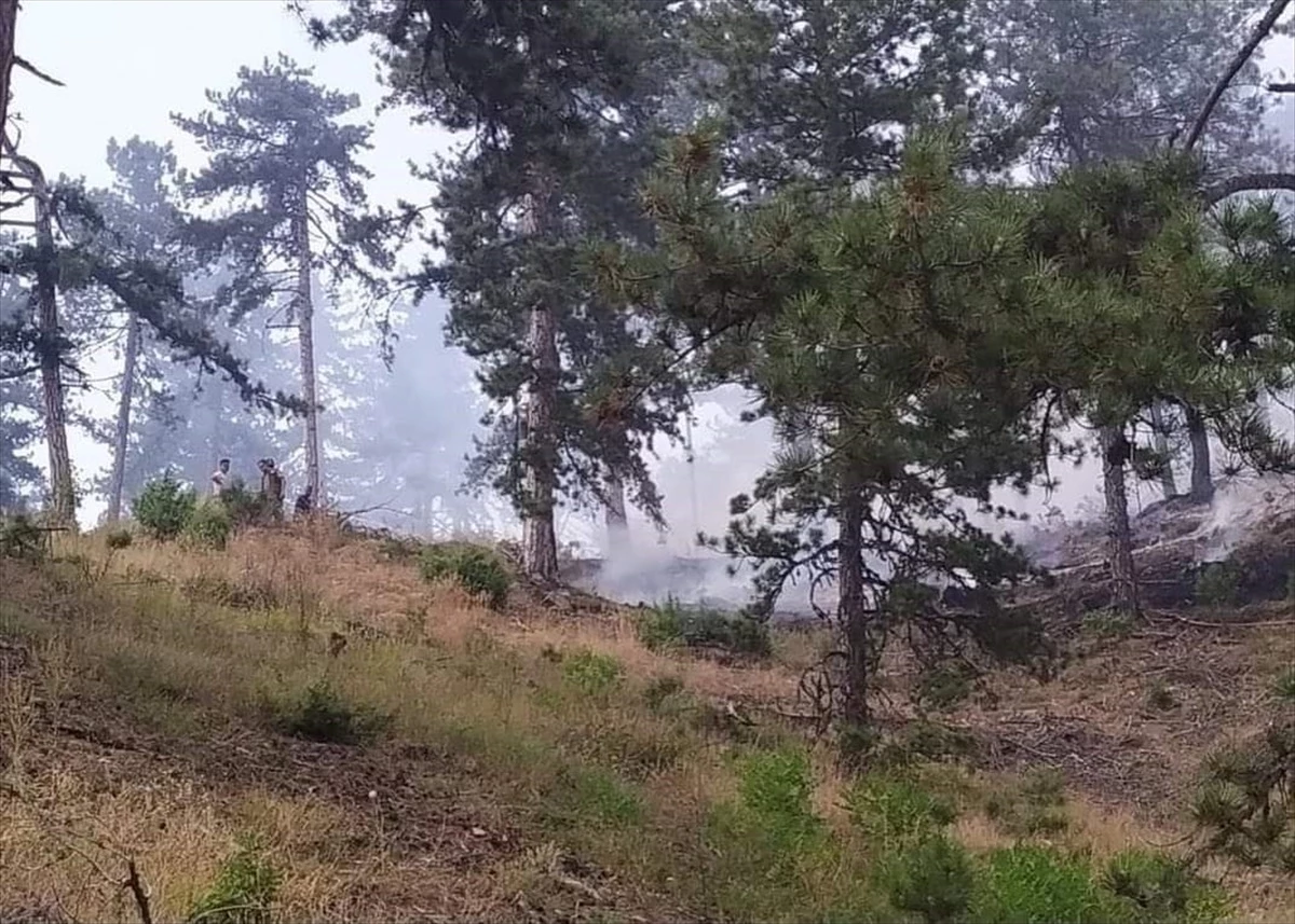 Ankara\'nın Nallıhan ilçesindeki orman yangını kontrol altına alındı