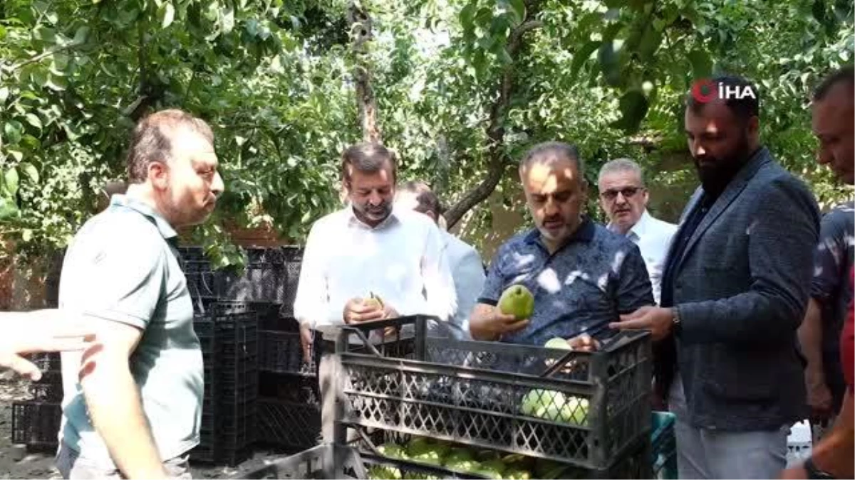 Bursa Büyükşehir Belediye Başkanı Alinur Aktaş, Gürsu\'da Çiftçilere Dondurma İkramında Bulundu