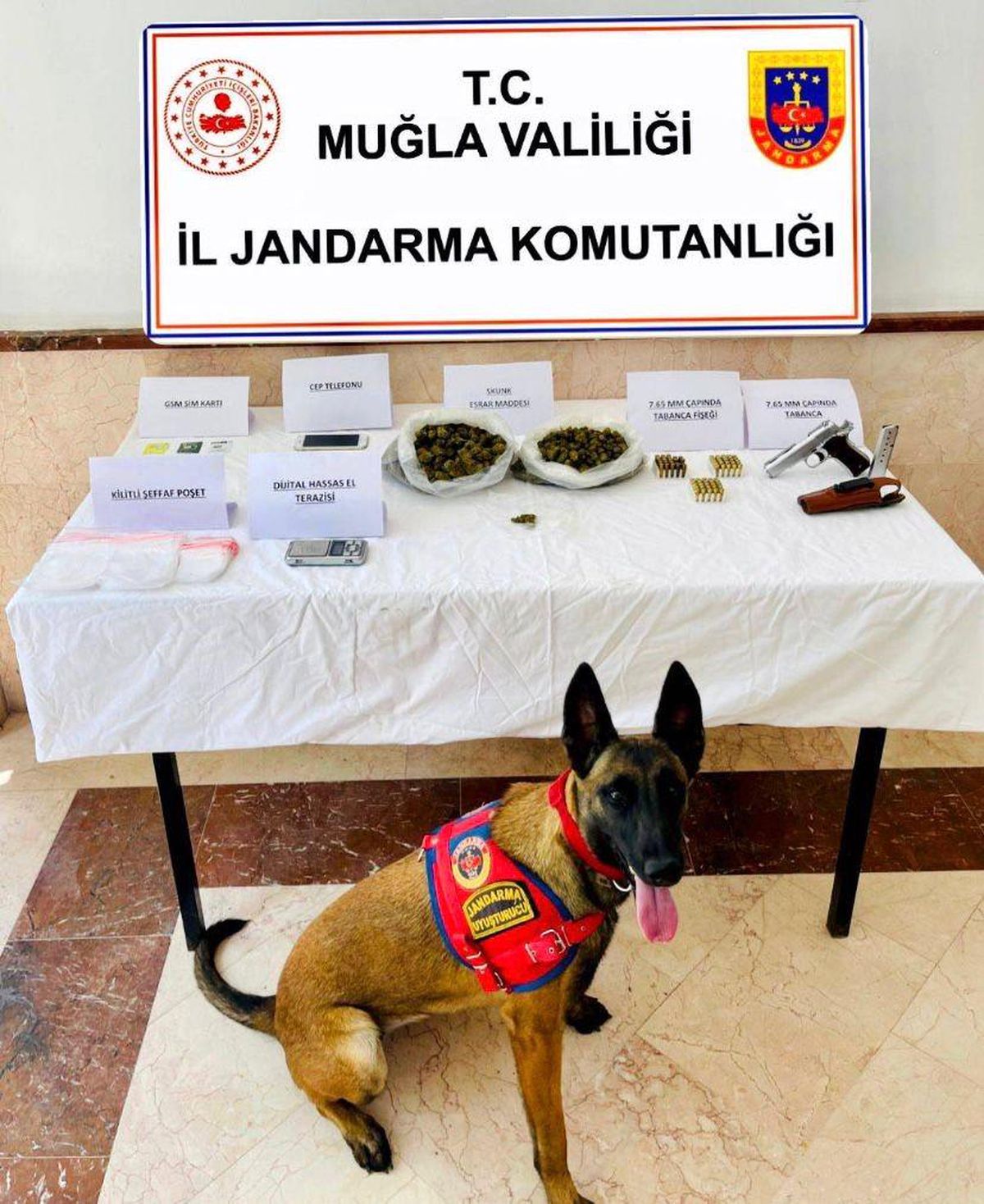 Bodrum\'da Narkotik Operasyonunda Uyuşturucu ve Ruhsatsız Silah Ele Geçirildi