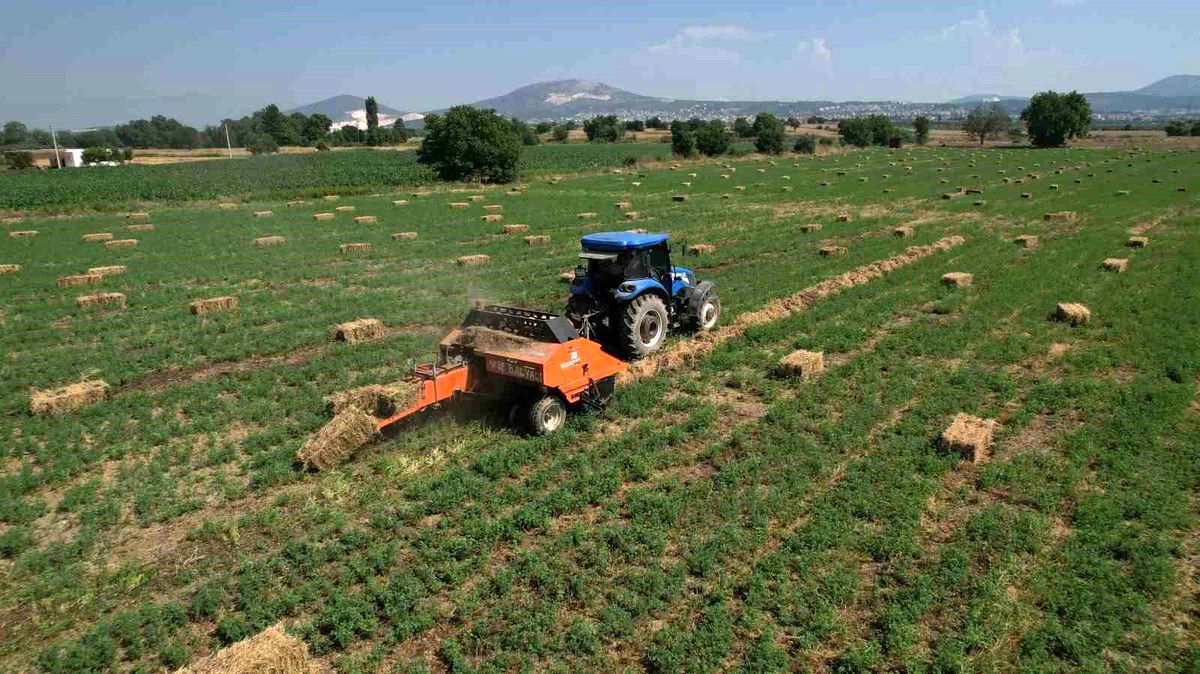 Muğla Büyükşehir Belediyesi Kaba Yem Desteği Projesi ile Üreticilere Yardım Ediyor