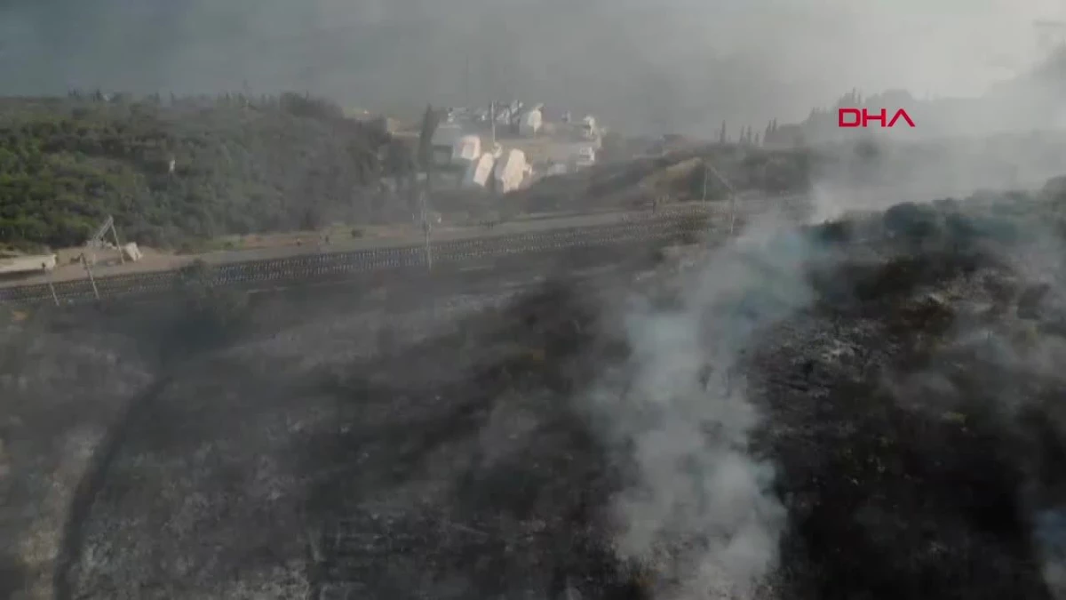 Gebze\'deki TÜBİTAK Ormanında Çıkan Yangın Kontrol Altına Alındı
