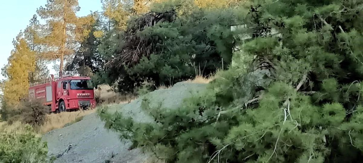 Hatay\'ın Hassa ilçesinde ormanlık alanda çıkan yangın söndürüldü
