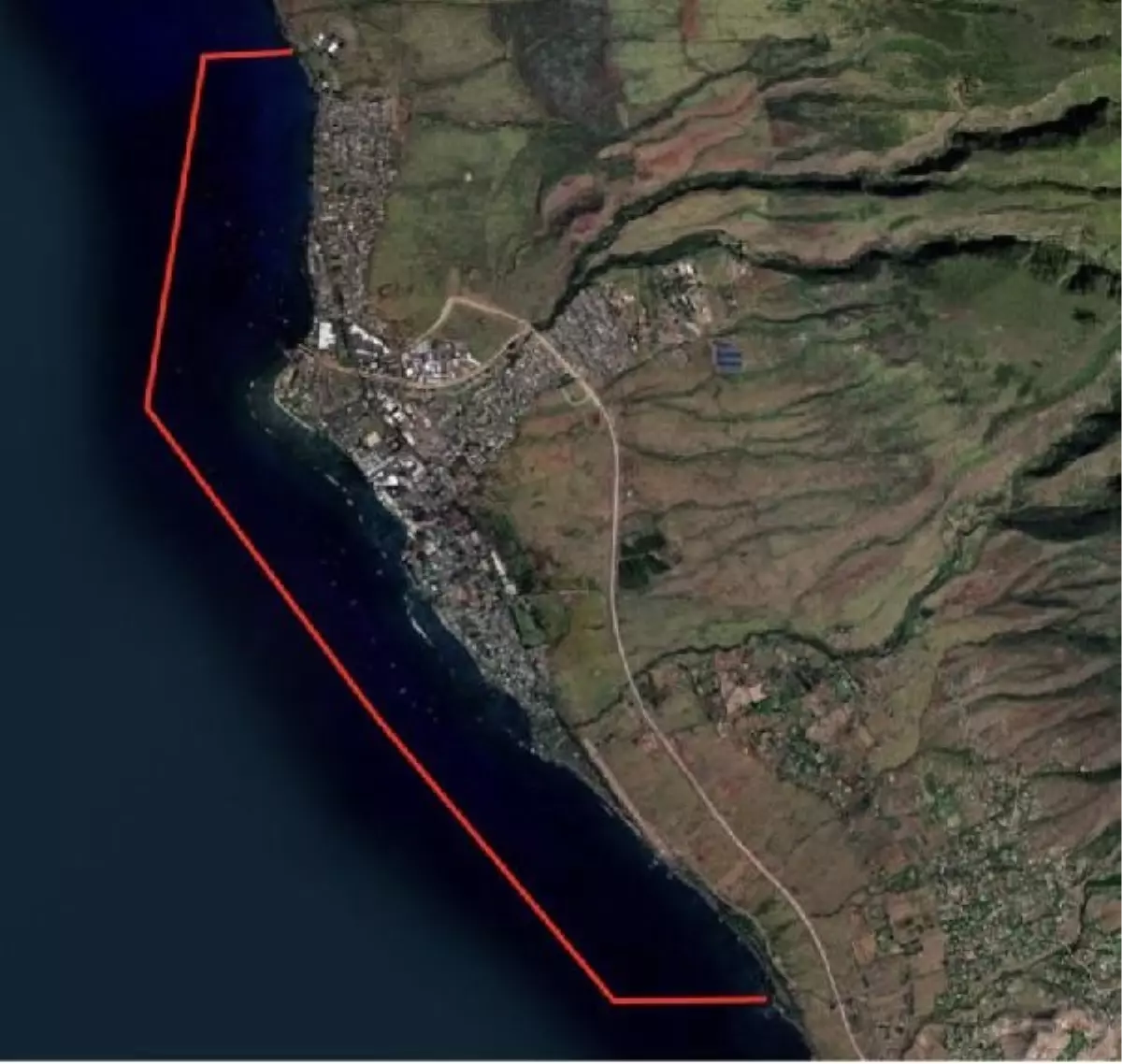 Maui Adası\'ndaki Orman Yangınında Ölü Sayısı 111\'e Yükseldi, Acil Durum Yönetimi Ajansı Başkanı İstifa Etti