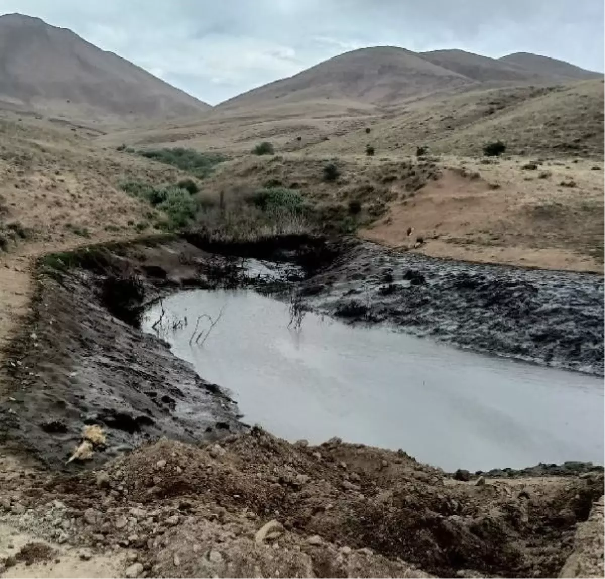 Erzurum\'da hayvan sulama göletine giren 2 kız çocuğu boğuldu