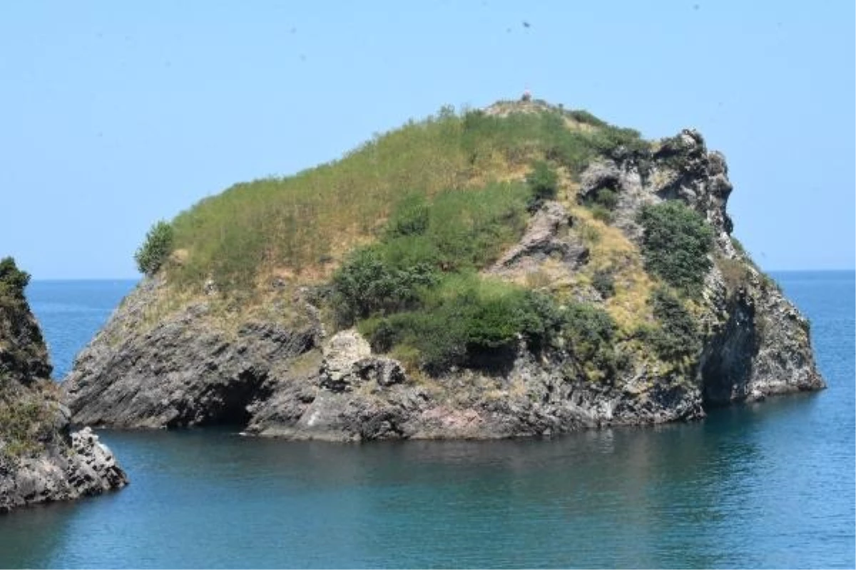 Ordu\'daki Hoynat Adası turistlerin ilgisini çekiyor