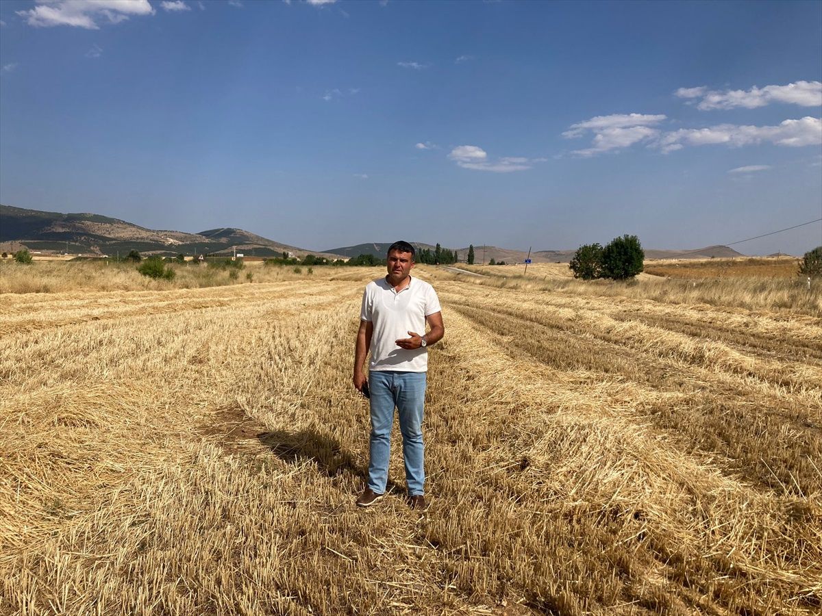 Hüyük\'te Hasat Dönemi Devam Ediyor: Yangınlara Karşı Dikkatli Olunmalı