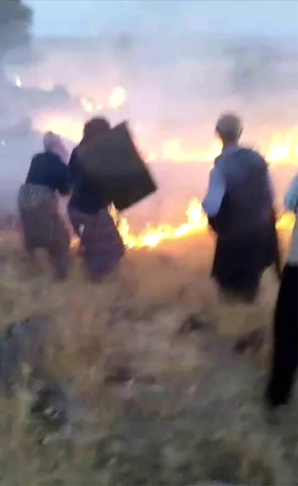 Şanlıurfa\'nın Siverek ilçesinde merada çıkan yangın köylüler tarafından söndürüldü