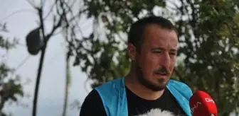 Sokakta Terk Edilen Köpekler HAYTAP Tarafından Sahiplenildi
