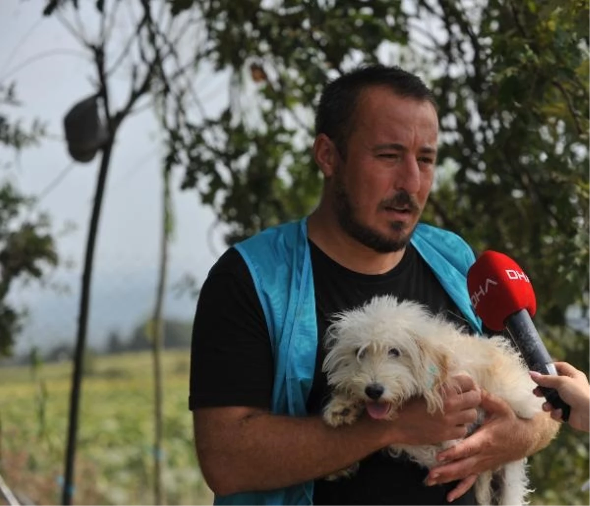 Sokakta Terk Edilen Köpekler HAYTAP Tarafından Sahiplenildi