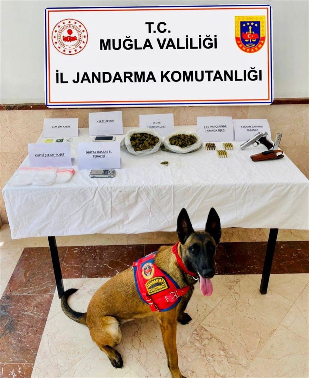 Bodrum\'da Uyuşturucu Ticareti Yapan Şüpheli Gözaltına Alındı