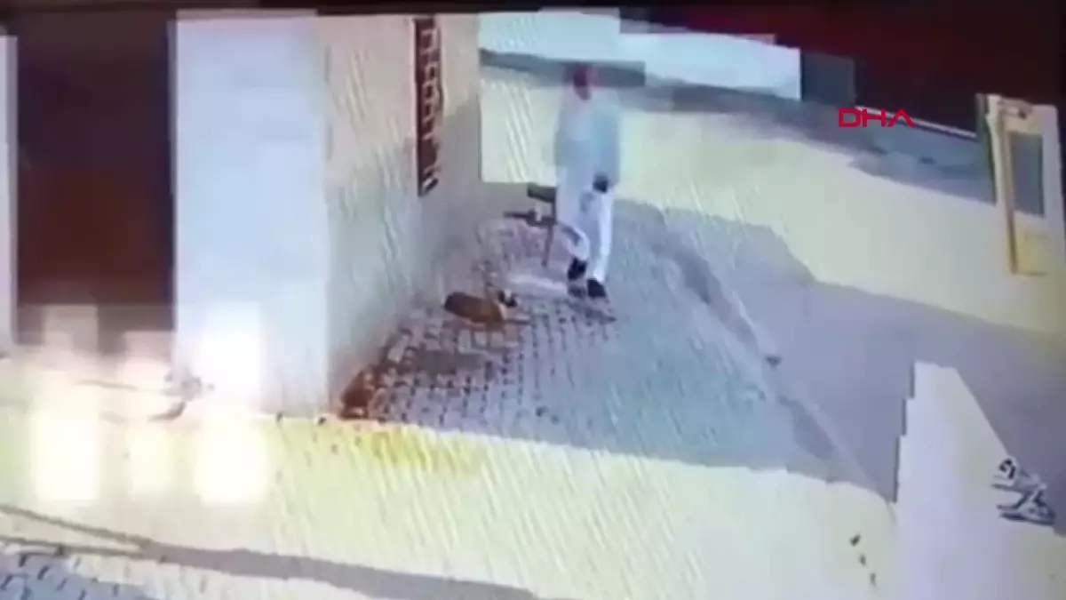 Mardin\'de Yavru Köpeğe İşkence Eden Şahıs Gözaltına Alındı