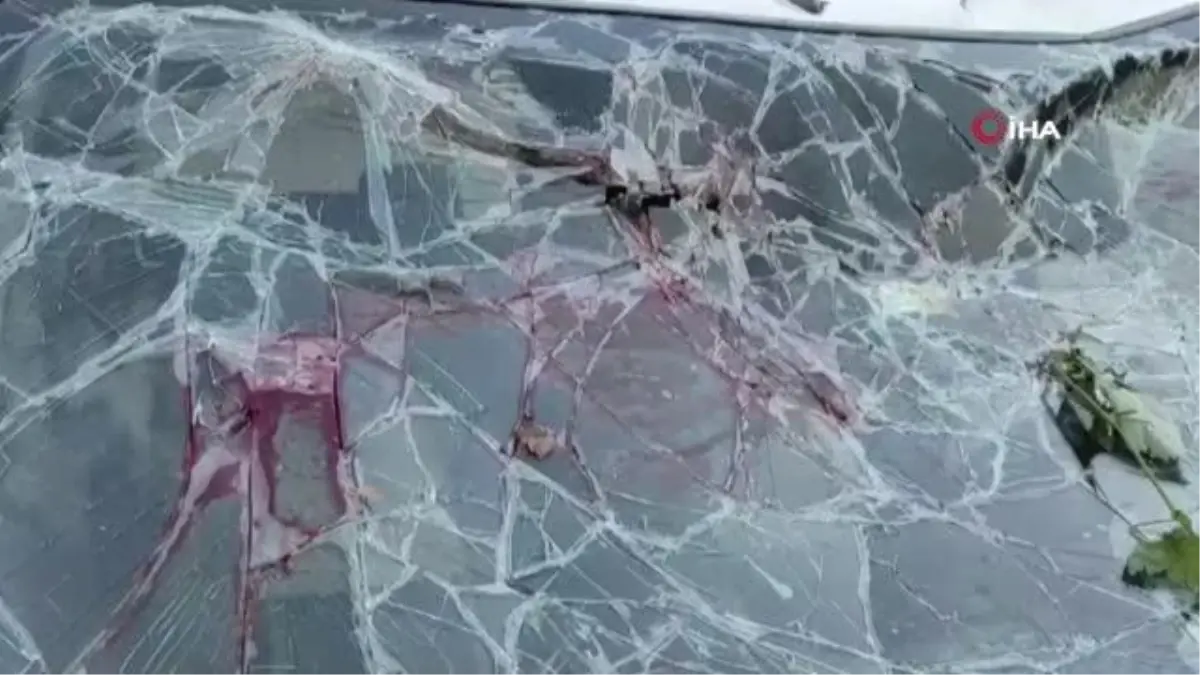 Batman\'da keçiye çarpmamak isterken kaza: 1 ölü, 8 yaralı