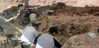 Çorakyerler Omurgalı Fosil Lokalitesi'nde 8,5 Milyon Yıllık 100 Fosil Bulundu
