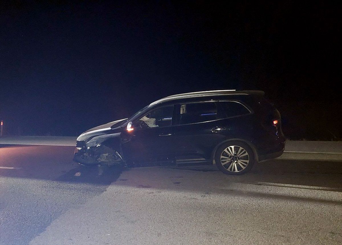 Çorum\'un Alaca ilçesinde 3 otomobilin çarptığı büyükbaş hayvan telef oldu
