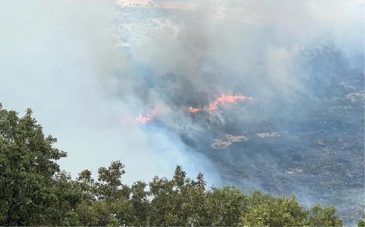 Diyarbakır Hani\'de çıkan orman yangını 24 saatte söndürüldü