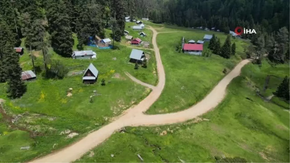 Düzce\'nin serinleten yaylaları böyle görüntülendi
