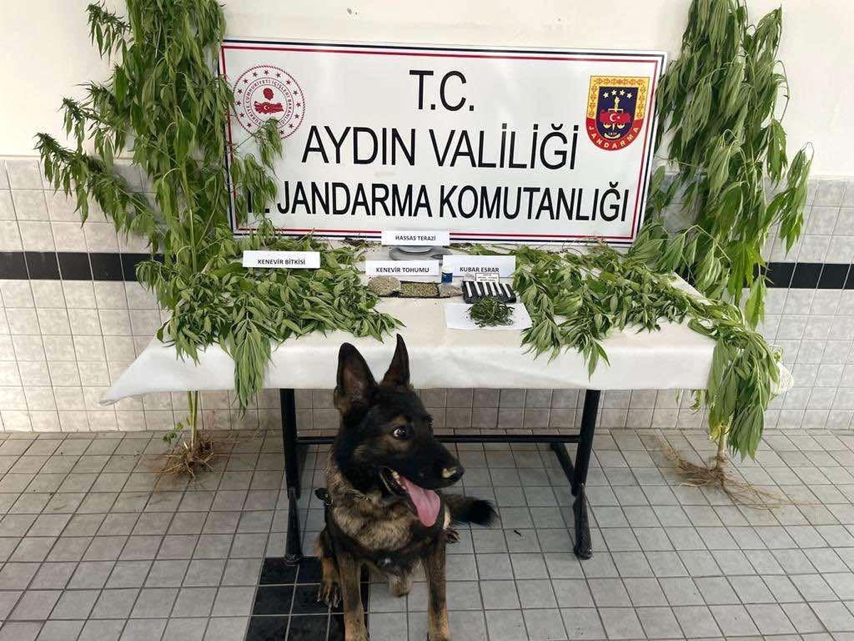 Aydın\'da Uyuşturucu Operasyonları: 27 Tutuklama