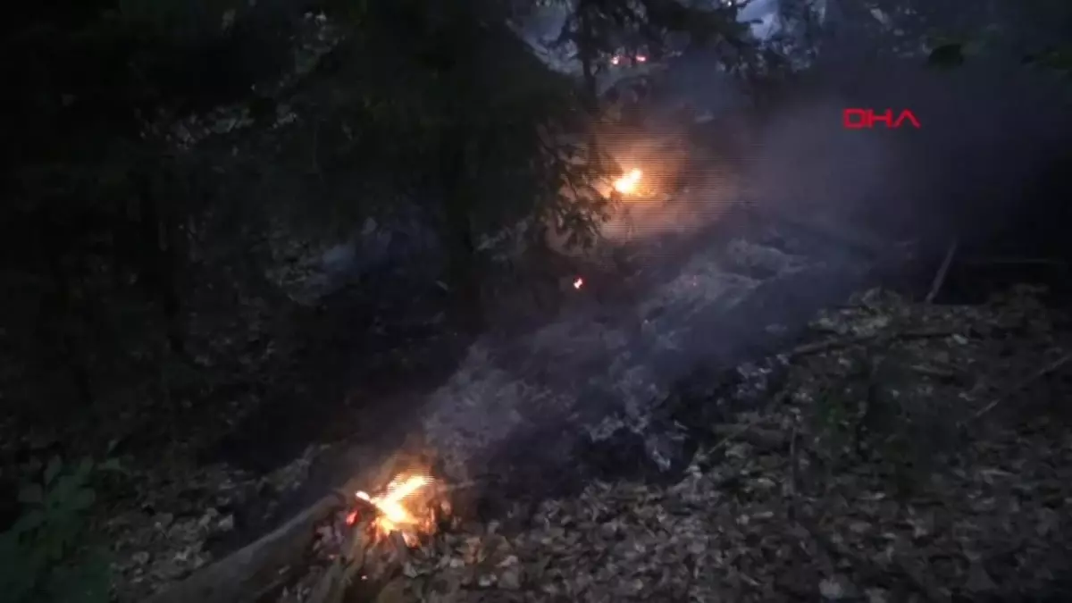 Kahramanmaraş\'ta 20 Hektar Orman Yangını Kontrol Altına Alındı