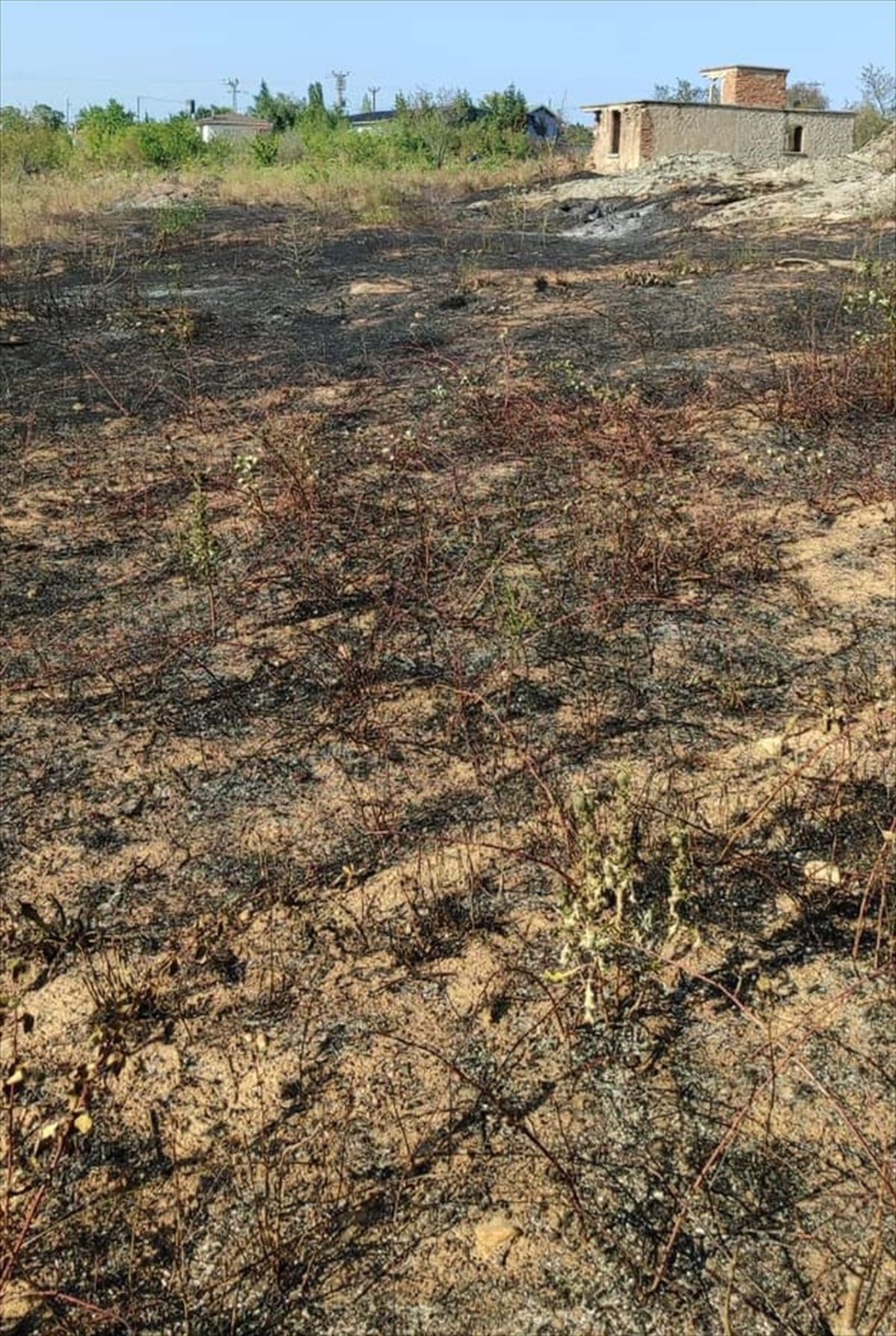 Kırklareli\'nde otluk alanda çıkan yangın söndürüldü