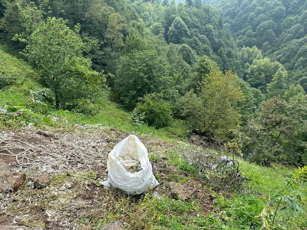 Kocaeli\'de Ormanlık Alana Tıbbi Sarf Malzeme Döken Firmaya Cezai İşlem Uygulandı