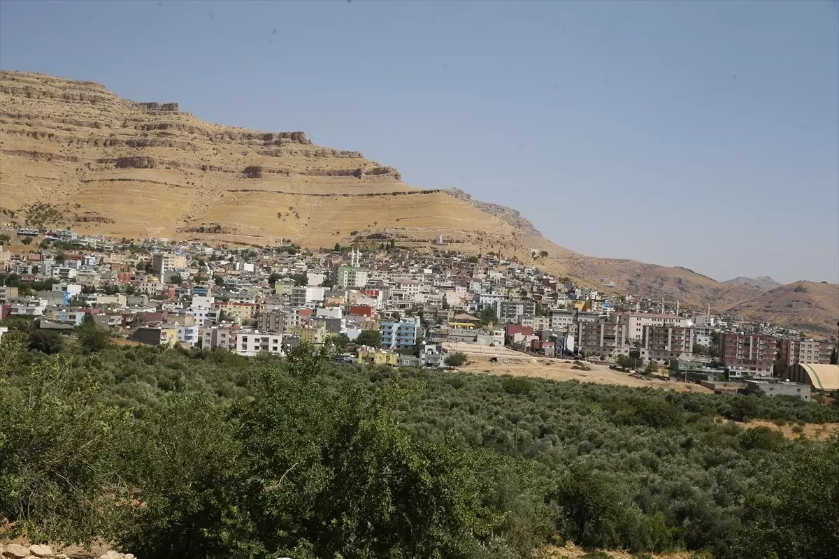 Mardin\'de 21 kişinin öldüğü kazada yaralananlar ve ölenlerin yakınları o günü unutamıyor