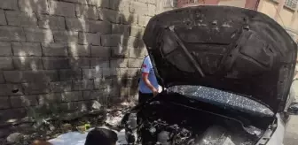 Siirt'te Park Halindeki Otomobil Yangında Kullanılamaz Hale Geldi