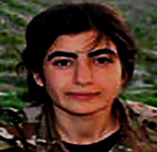 Son Dakika: MİT'ten nokta atışı! Terör örgütü PKK'nın sözde kadın yapılanma sorumlusu etkisiz hale getirildi Son Dakika: MİT'ten nokta atışı! Terör örgütü PKK'nın sözde kadın yapılanma sorumlusu etkisiz hale getirildi
