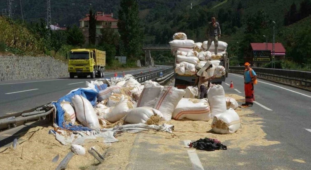 Trabzon\'da saman yüklü kamyon devrildi, sürücü yaralandı