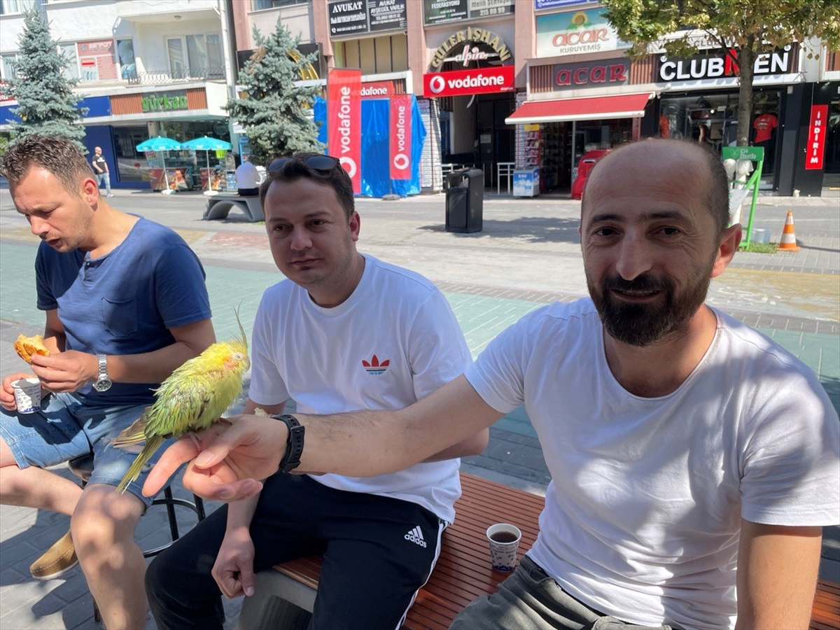 Trafik kazasında kaybettiği arkadaşının ismini verdiği papağanıyla yaşayan sağlık teknikeri