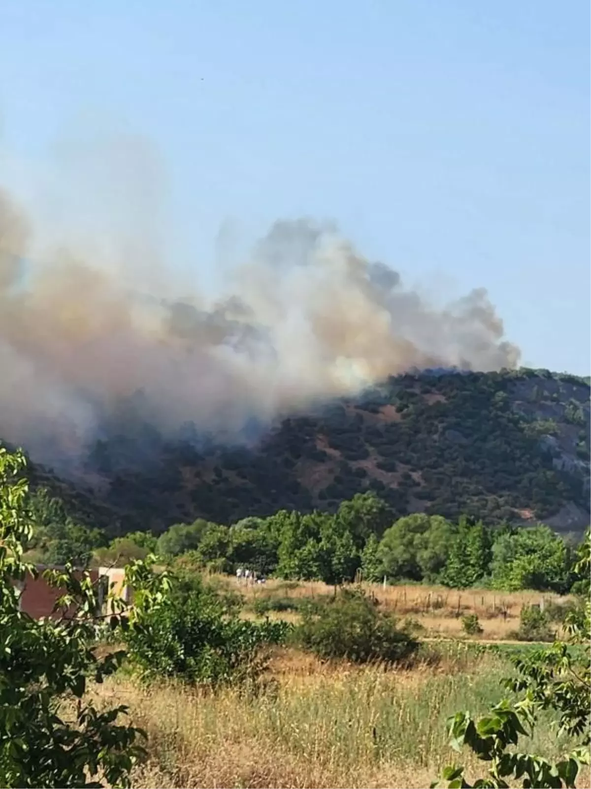 Balıkesir\'de saman yüklü kamyonette çıkan yangın ormana sıçradı