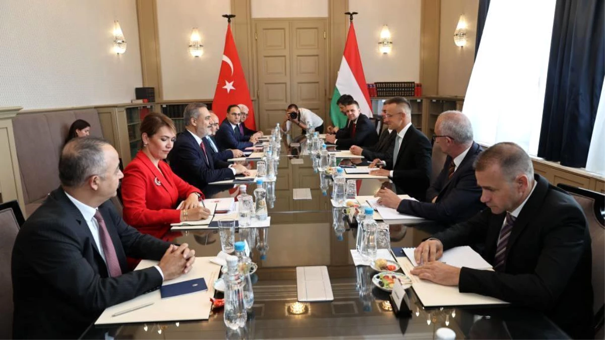 Erdoğan Macaristan\'ı ziyaret ediyor: Bir günlük ziyaretin amacı ne?