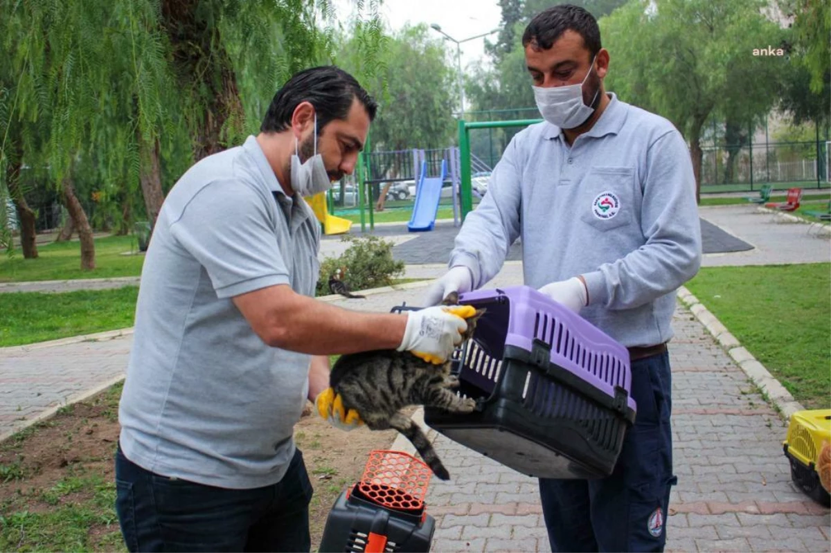 Karşıyaka Belediyesi Can Dostların Yanında