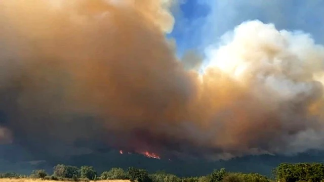 Komşudaki orman yangını büyümeye devam ediyor! Dumanlar Edirne'den görülüyor