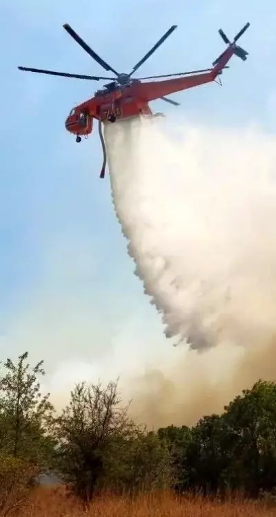 Komşudaki orman yangını büyümeye devam ediyor! Dumanlar Edirne'den görülüyor