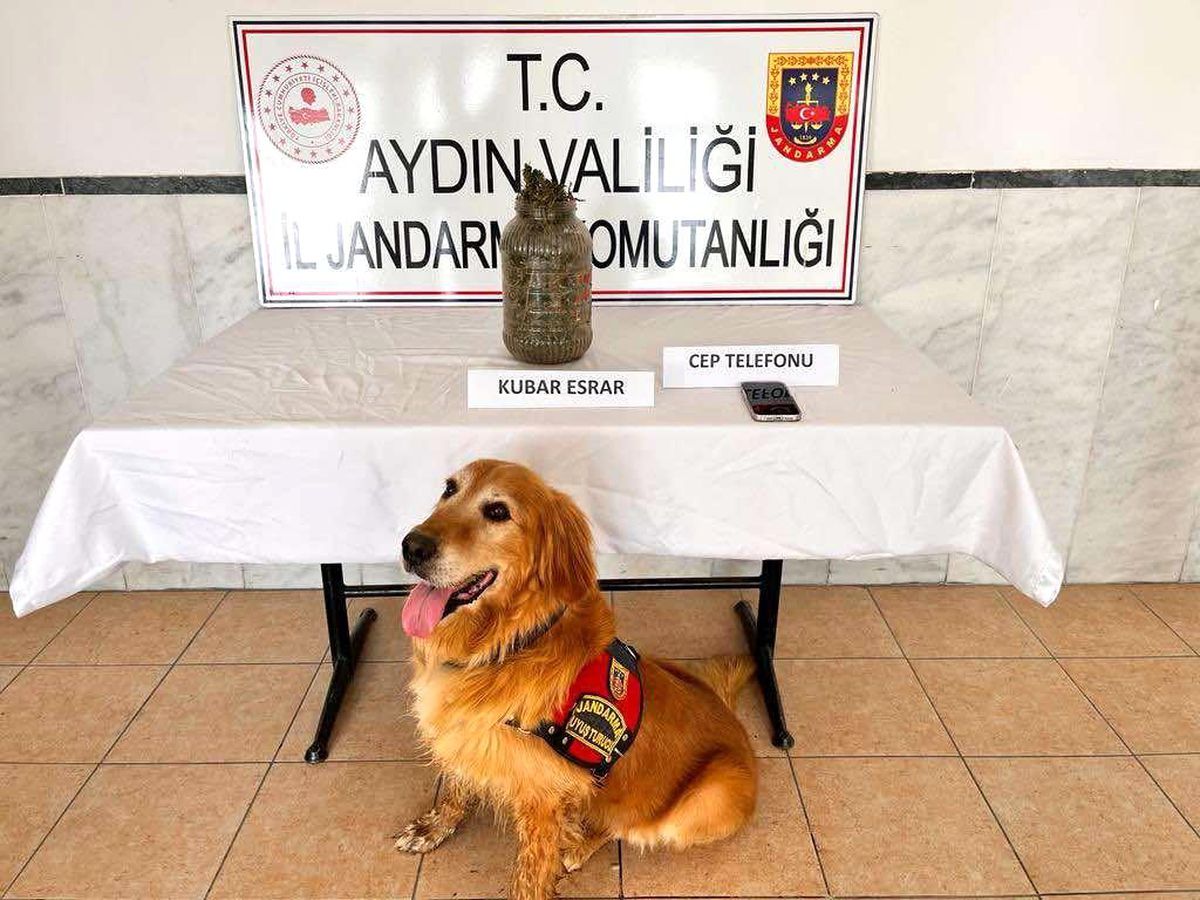 Kuyucak\'ta uyuşturucu operasyonu