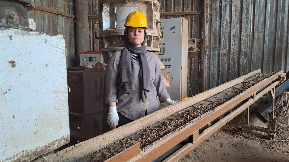 Sakarya\'da KOSGEB desteğiyle tesis kuran üniversiteli, kömüre alternatif pelet üretiyor