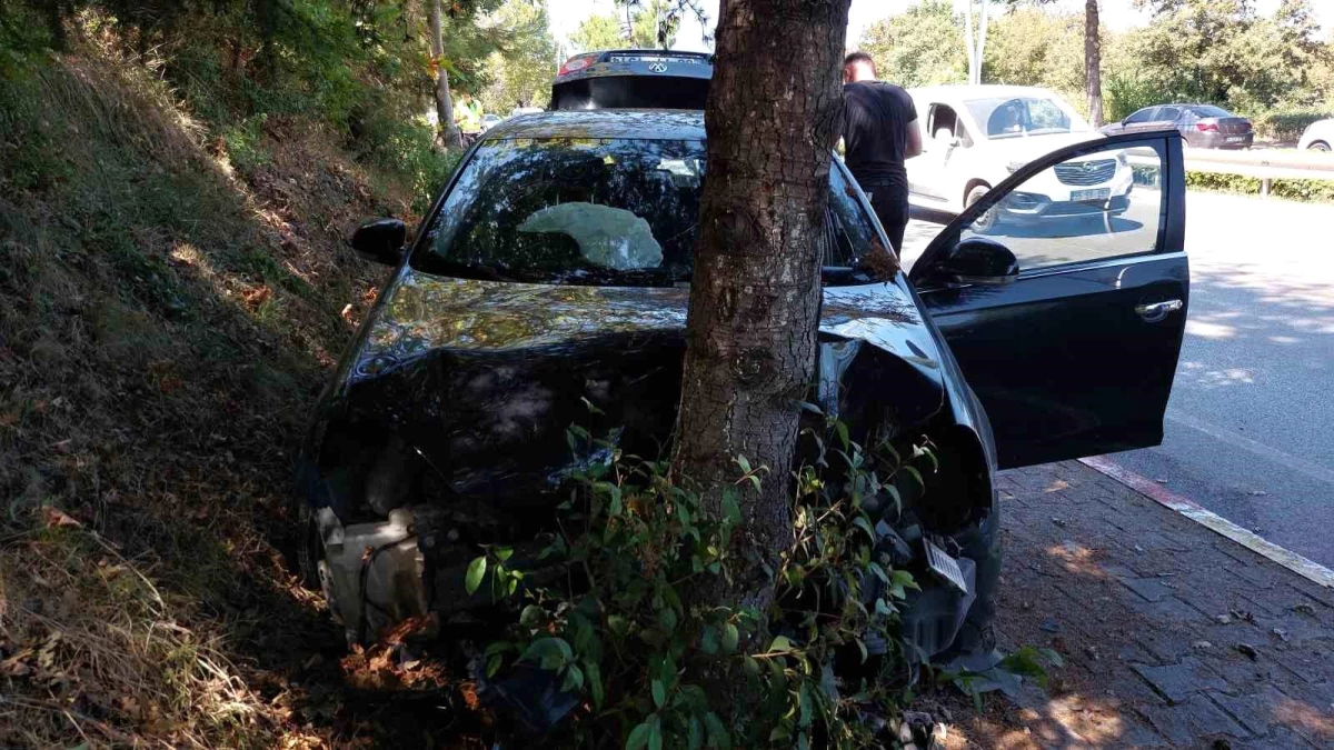 Samsun\'da otomobil ağaca çarptı: 1 yaralı