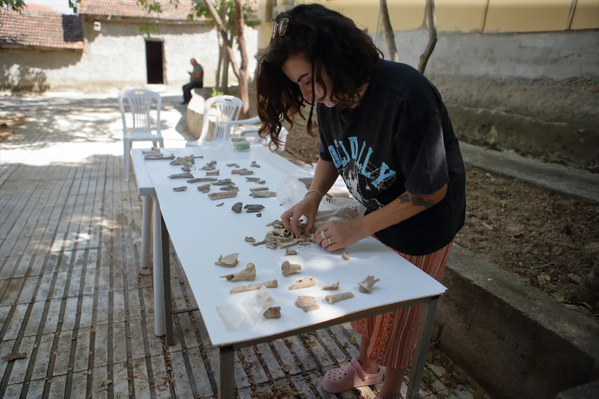 Şapinuva\'daki arkeolojik kazıda Hititlerin beslenme alışkanlıkları araştırılıyor