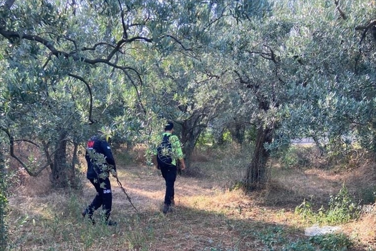 Yalova\'da kaybolan öğretmen için arama çalışması başlatıldı