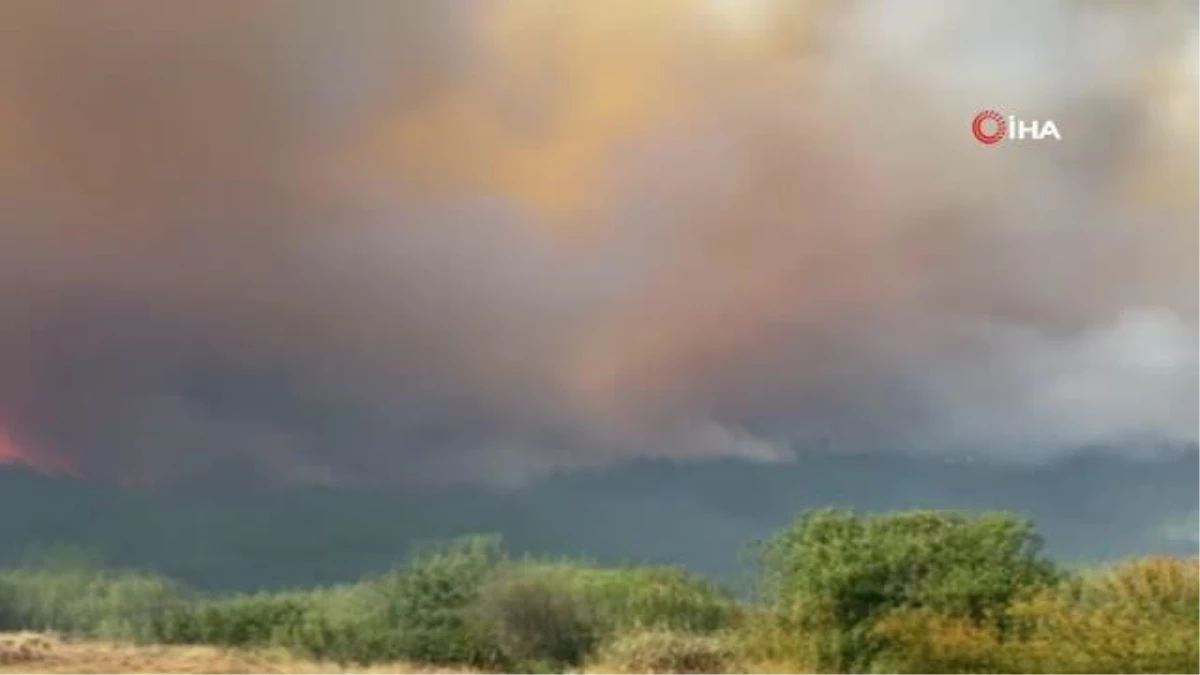 Yunanistan\'daki yangına havadan ve karadan müdahale ediliyor