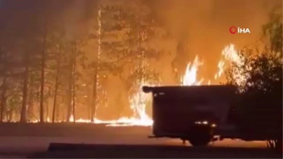 ABD\'nin Washington eyaletinde orman yangını: 1 kişi hayatını kaybetti, 8 bin 90 dönüm alan kül oldu