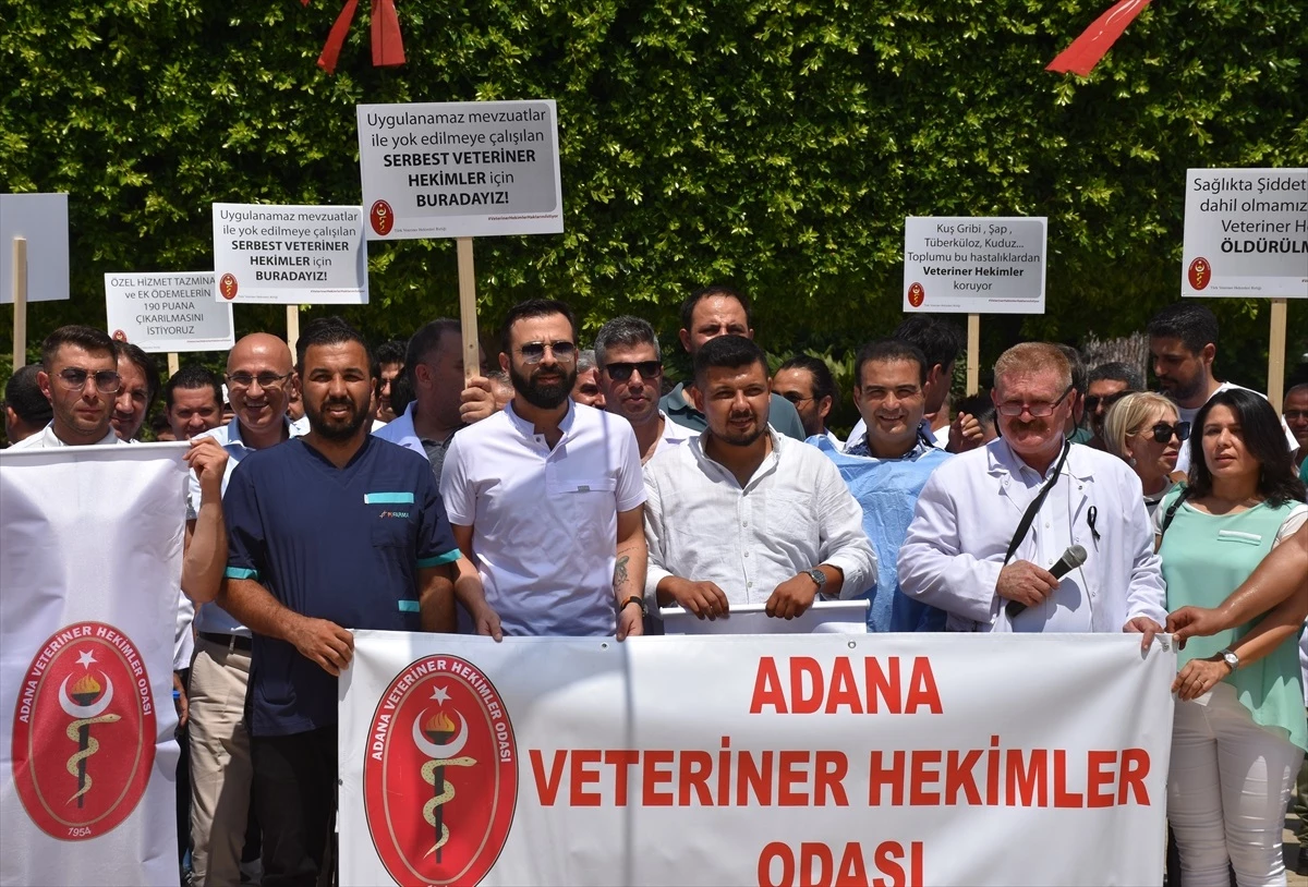İzmir\'de Veteriner Hekimler Sağlıkta Şiddet Yasası İstiyor